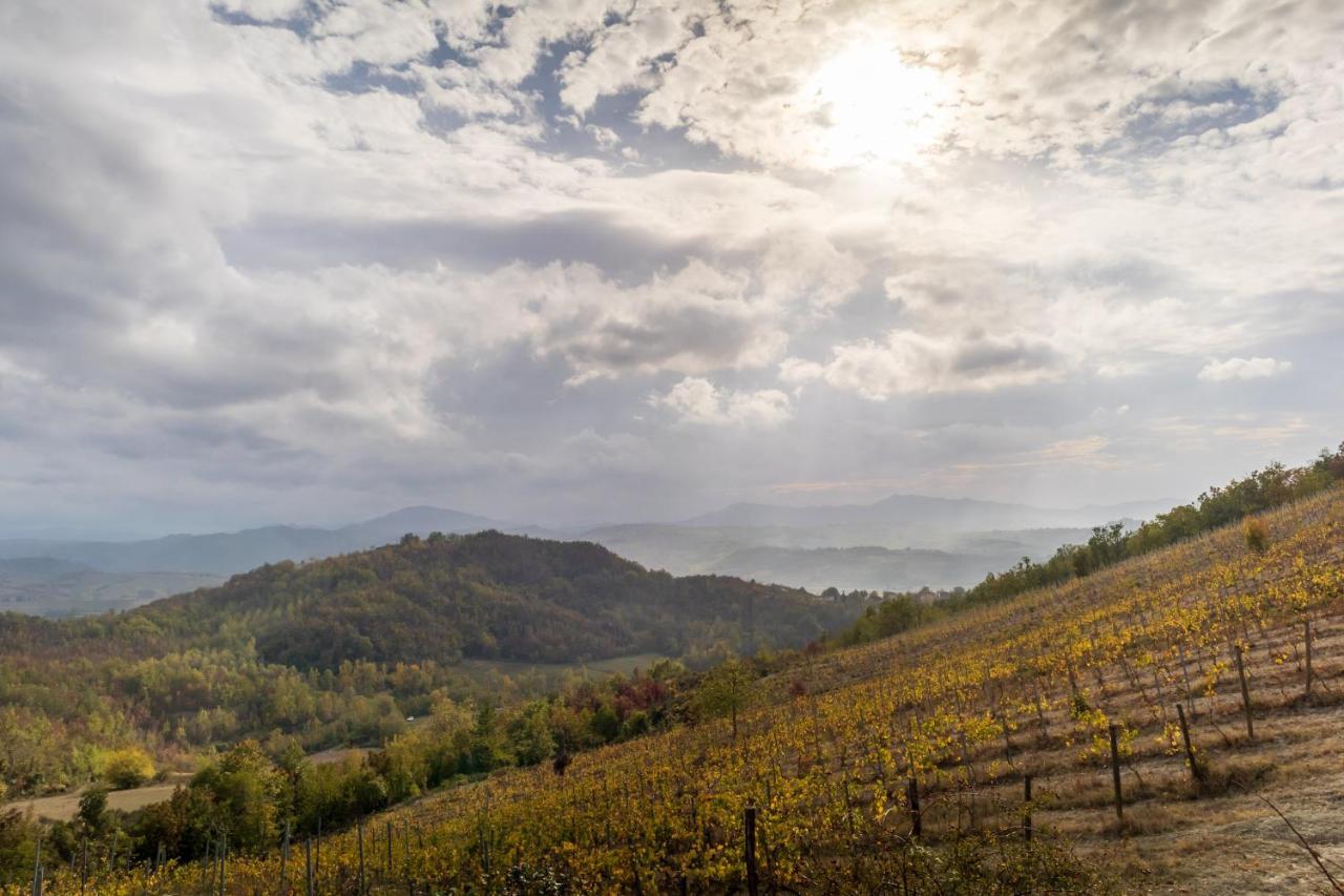 Oasi Di Mastarone - Il Vino E Le Rose Villa Momperone Eksteriør billede