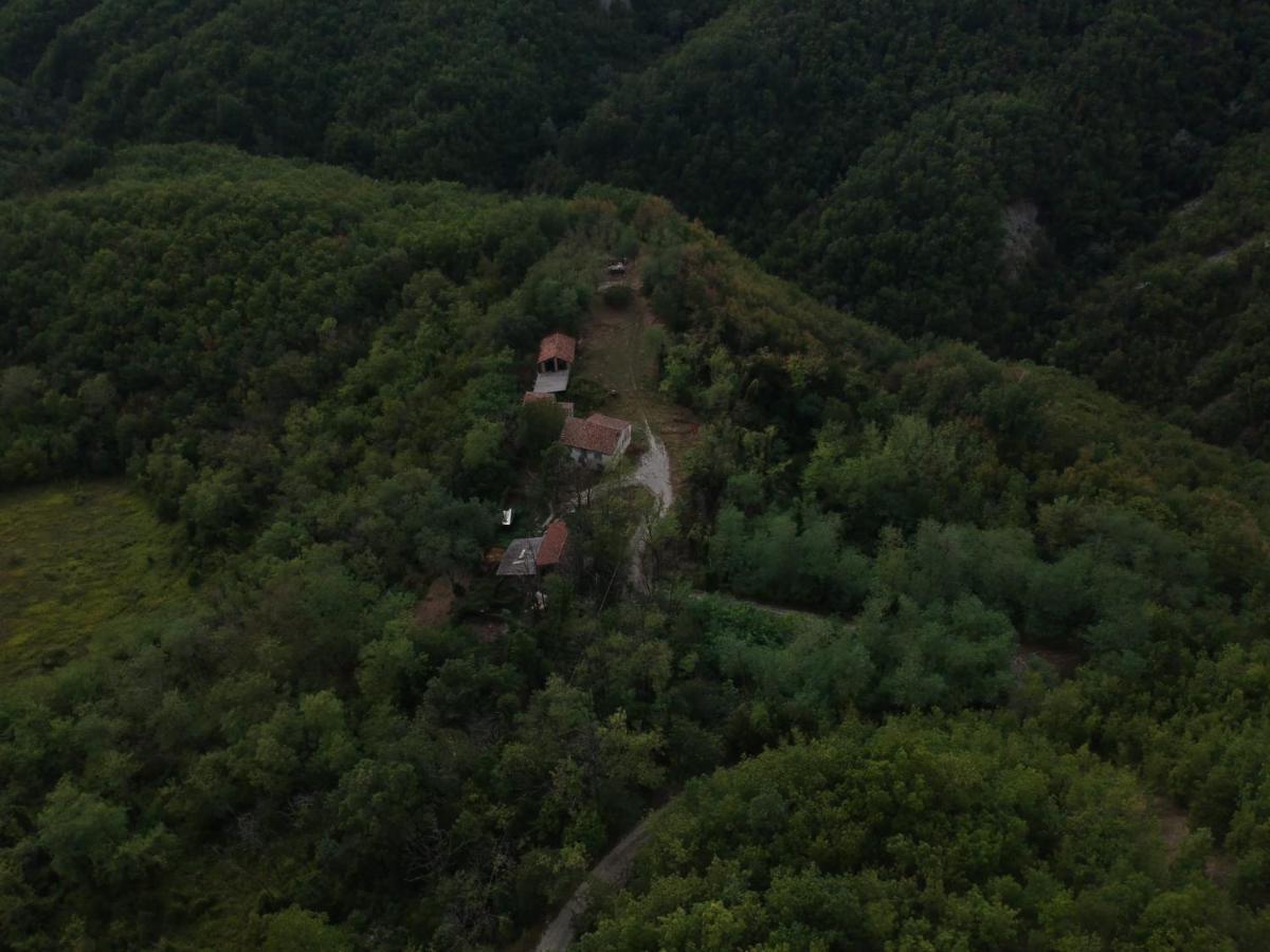 Oasi Di Mastarone - Il Vino E Le Rose Villa Momperone Eksteriør billede