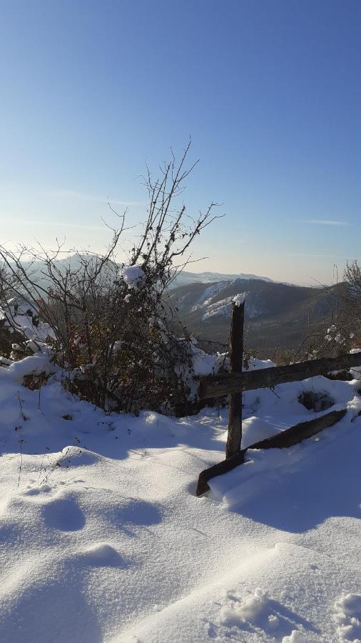 Oasi Di Mastarone - Il Vino E Le Rose Villa Momperone Eksteriør billede